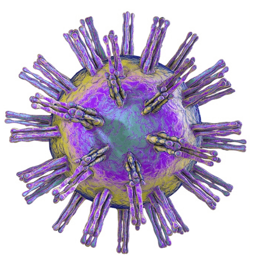 image-Etiology-1-Herpes-simplex-virus